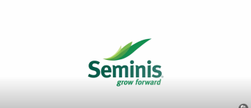 seminis afiş